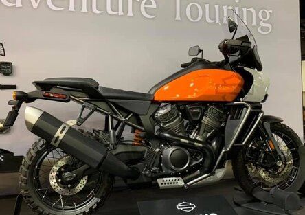 Harley davidson modelli 2019