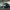 BMW Alpina B3: la super Serie 3 al Salone di Francoforte 2019 [Video]