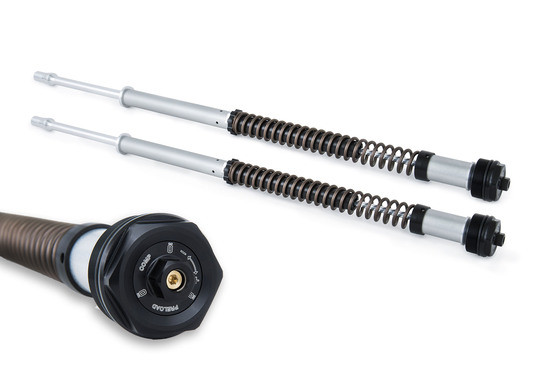 Cartucce Öhlins NIX per Harley Davidson Cartucce Öhlins NIX per Harley Davidson