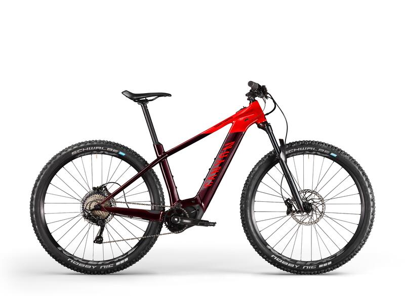emtb canyon