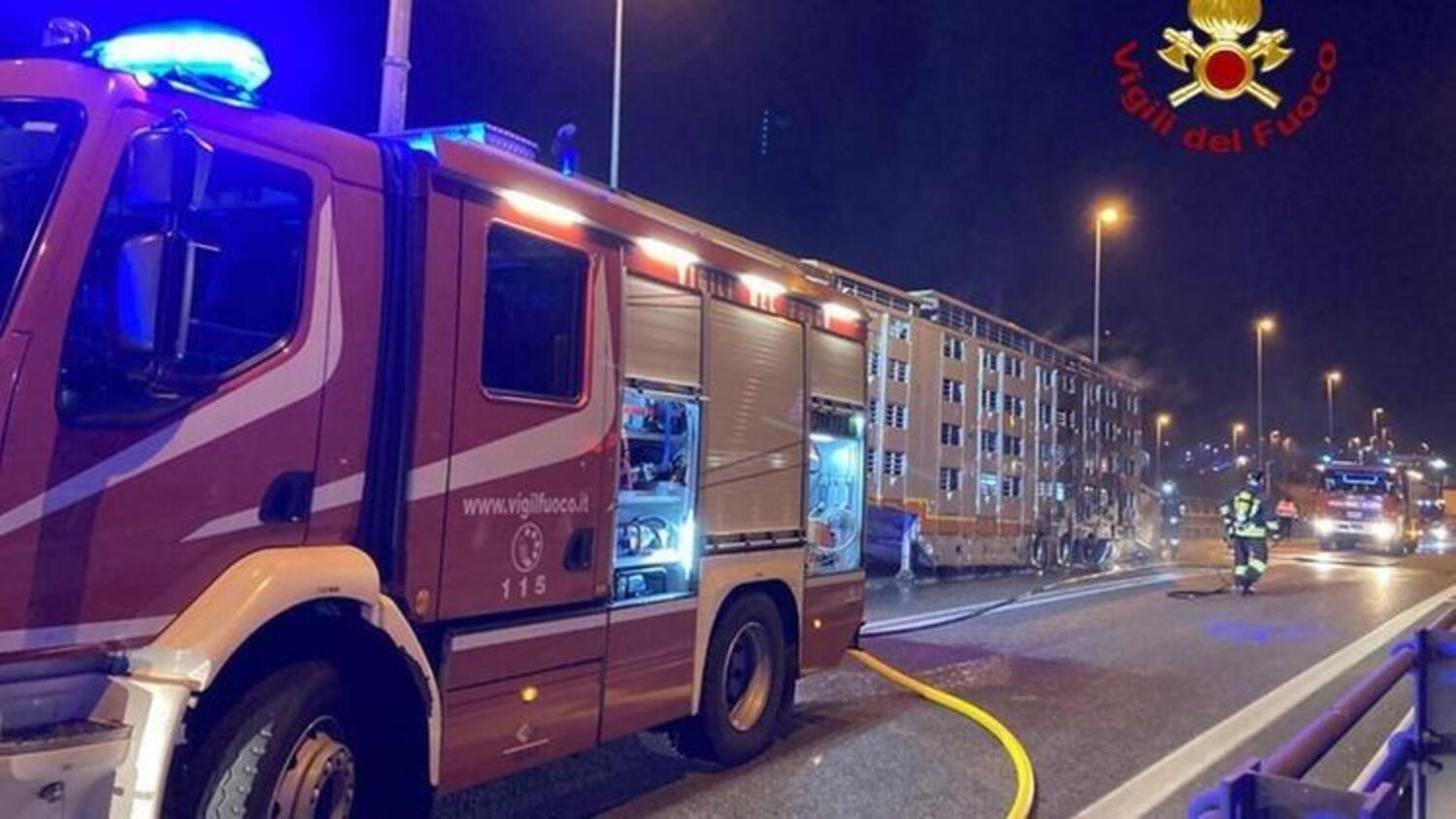 Il camion carico di buoi si incendia, l’autista rischia la vita per salvare gli animali