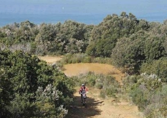 Italiano Motorally: La prima volta non si scorda mai! Italiano Motorally: La prima volta non si scorda mai!
