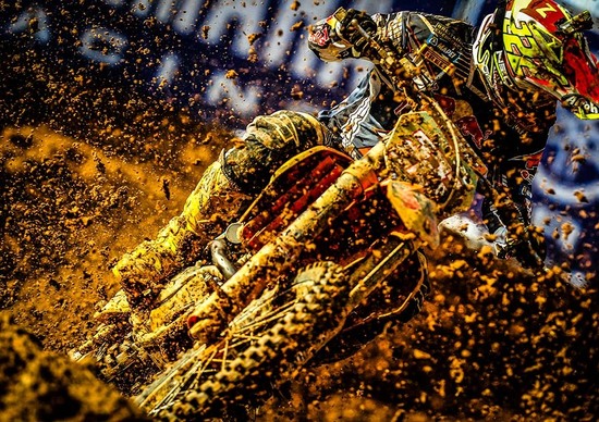 Fotogallery. Una stagione di trionfi per Cairoli Fotogallery. Una stagione di trionfi per Cairoli
