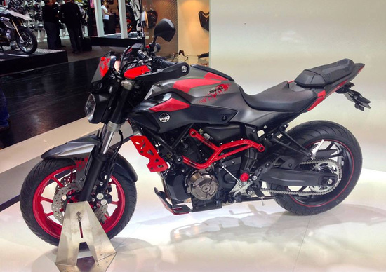 Yamaha MT-07 Moto Cage 2015 Yamaha MT-07 Moto Cage 2015