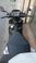 Kymco - Agility 125 S (2022 - 26)