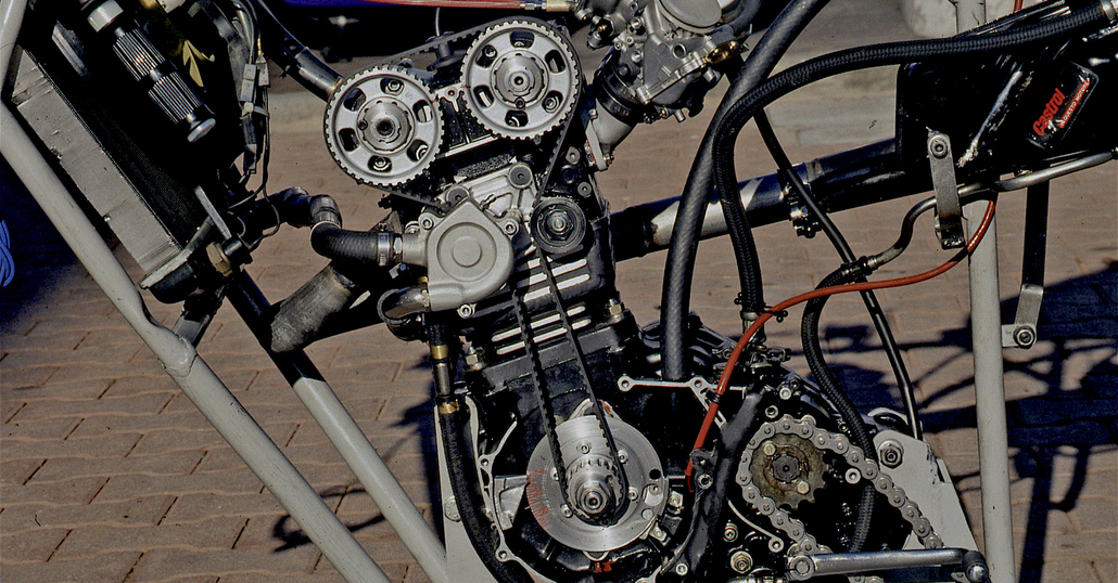 Creatività e tecnica: trapianti di teste da corsa